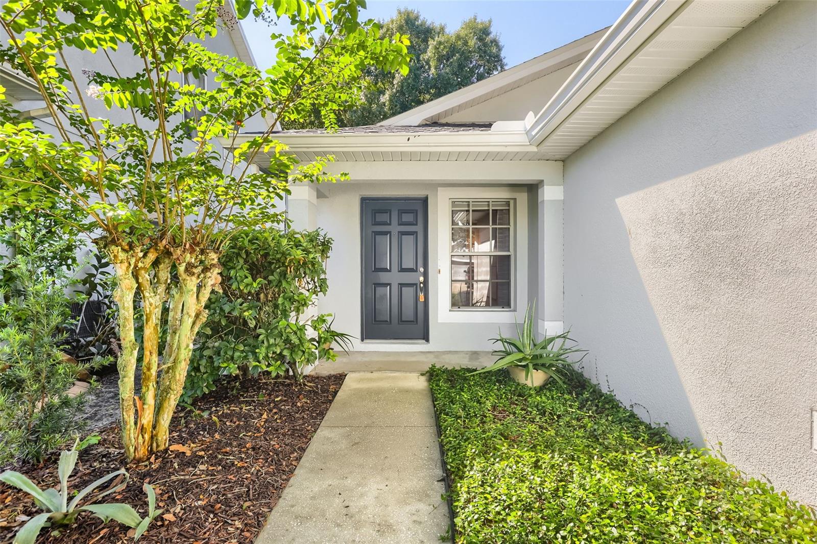 7902 CITRUS BLOSSOM DR