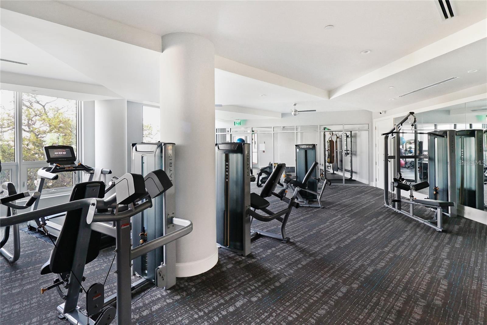 3401 BAYSHORE BLVD #503