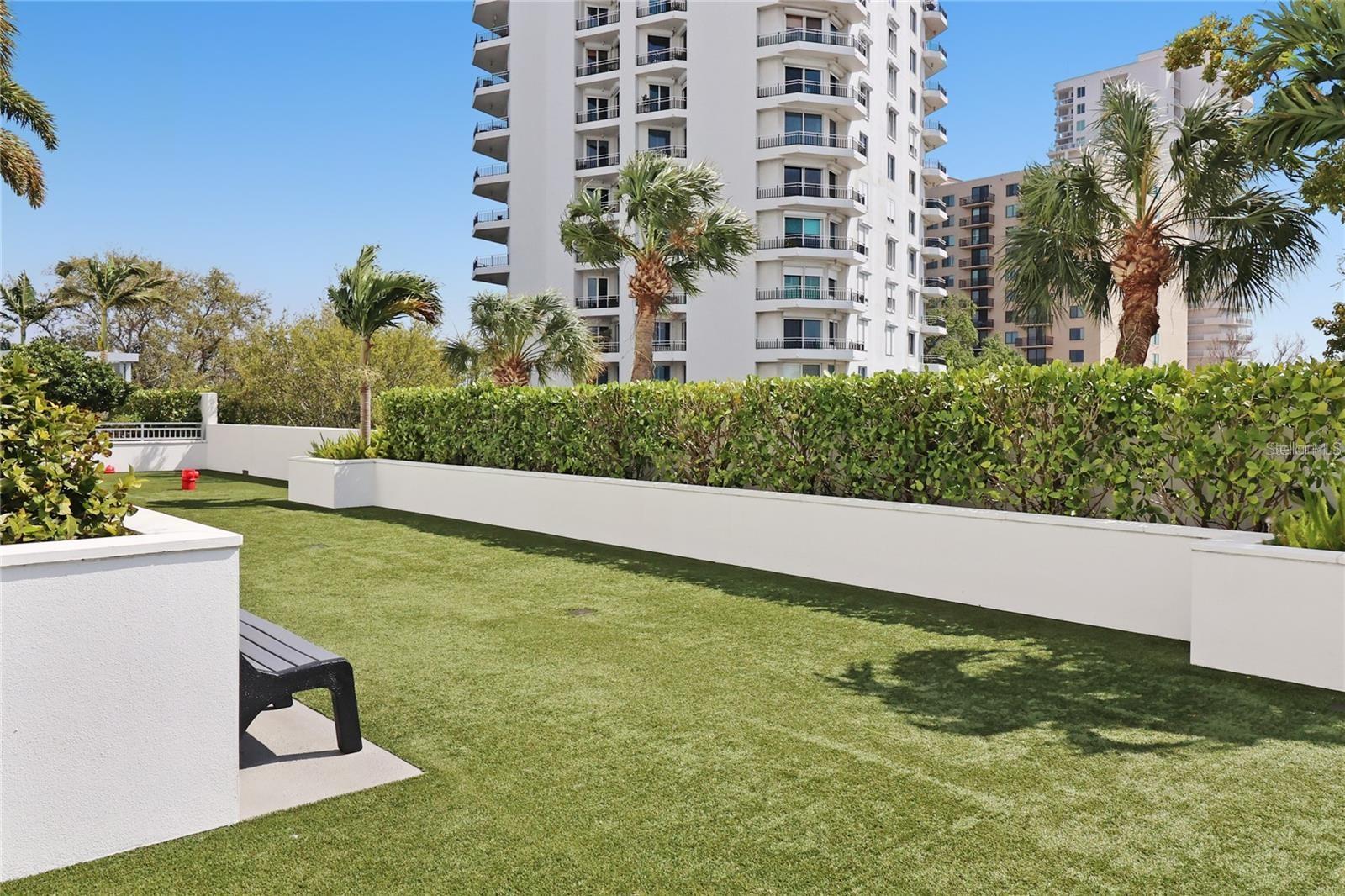 3401 BAYSHORE BLVD #503