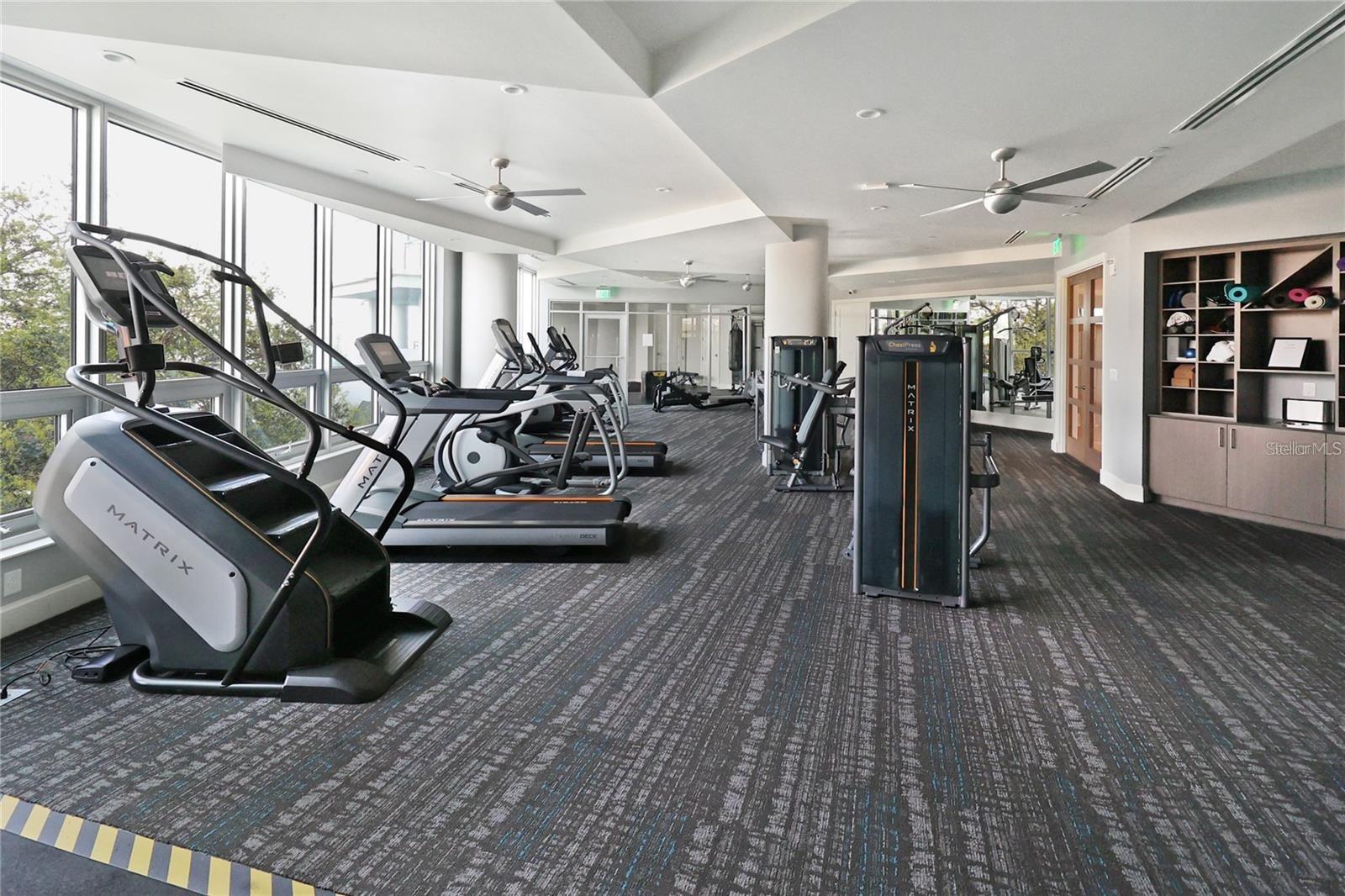 3401 BAYSHORE BLVD #503