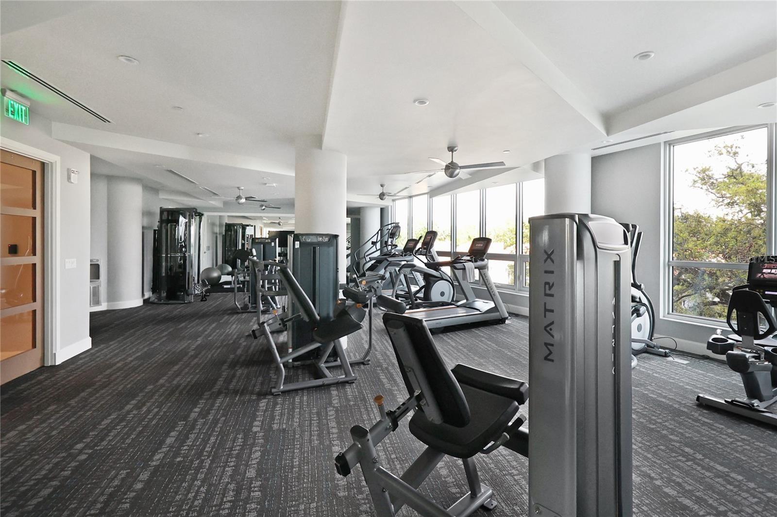 3401 BAYSHORE BLVD #503