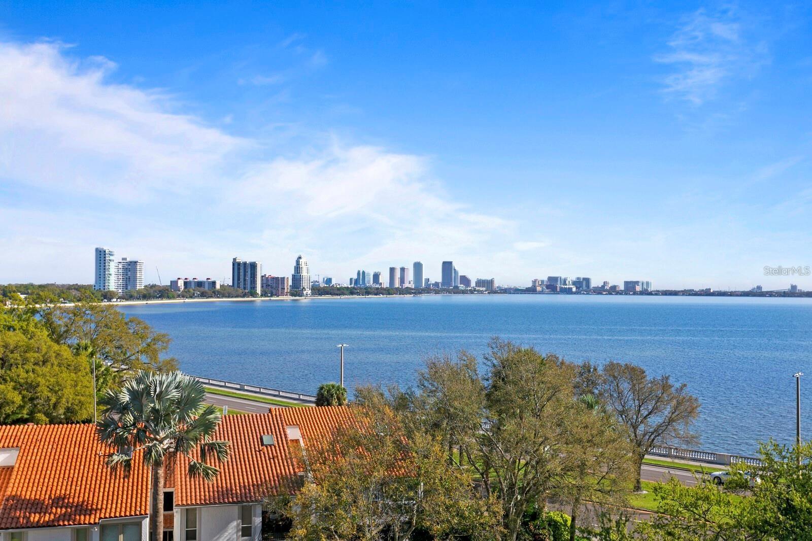 3401 BAYSHORE BLVD #503