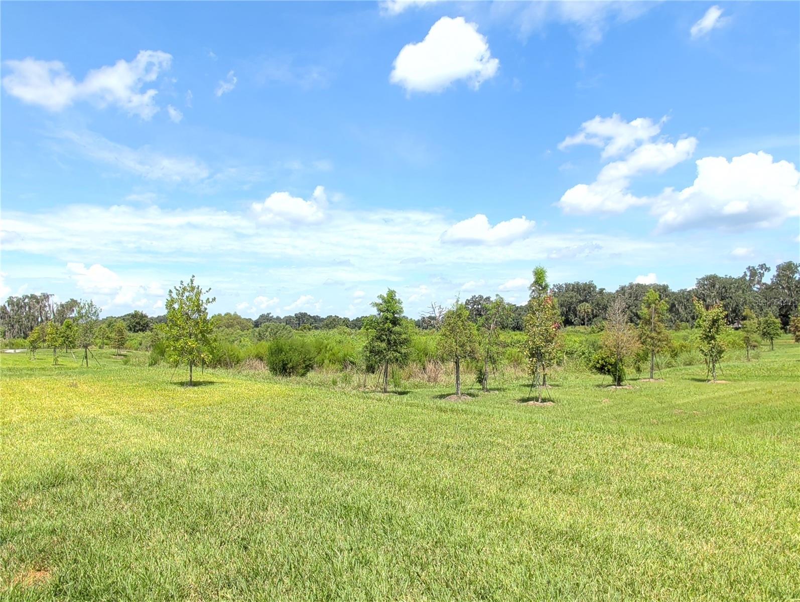 4057 WESTWOOD FIELDS LOOP