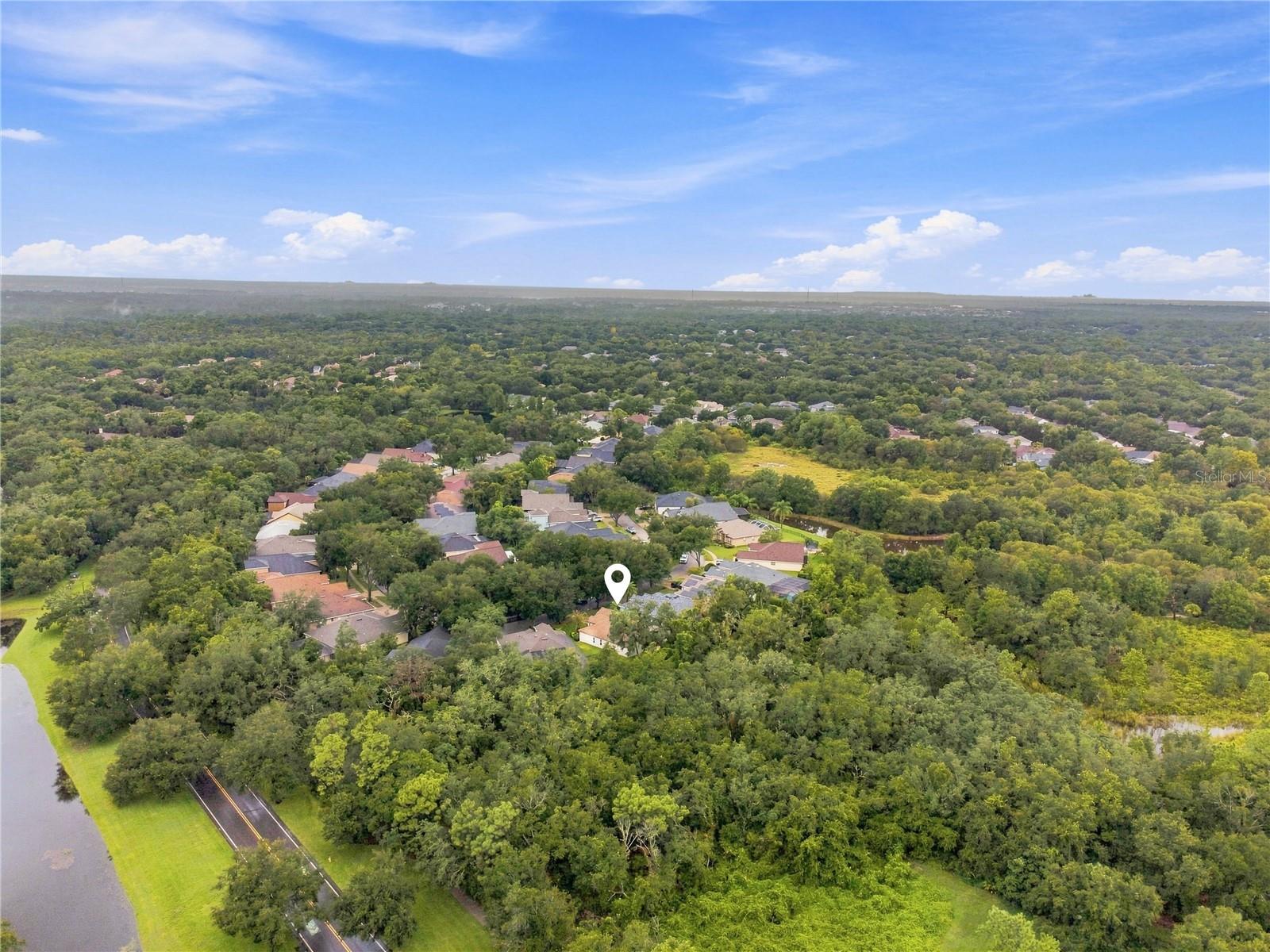 6137 WHIMBRELWOOD DR