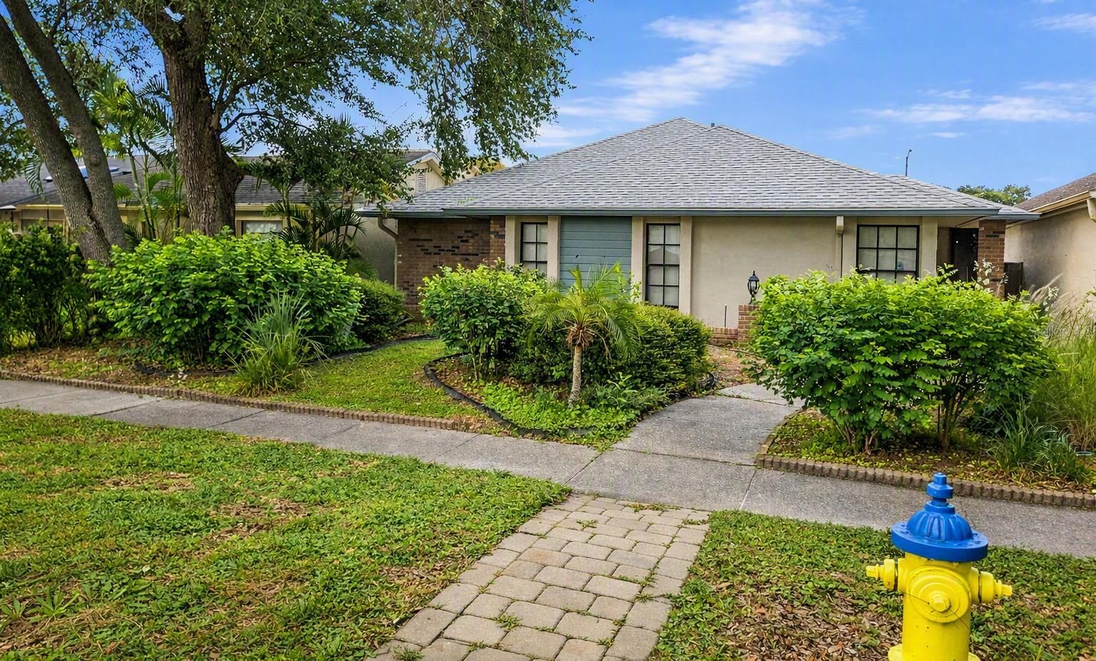 8008 La Serena Dr, Tampa