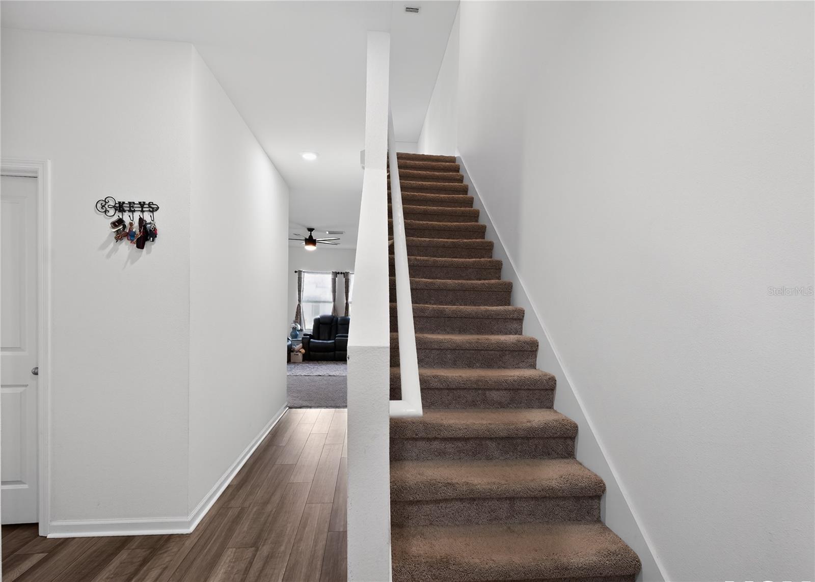 35568 SHADE FERN LN