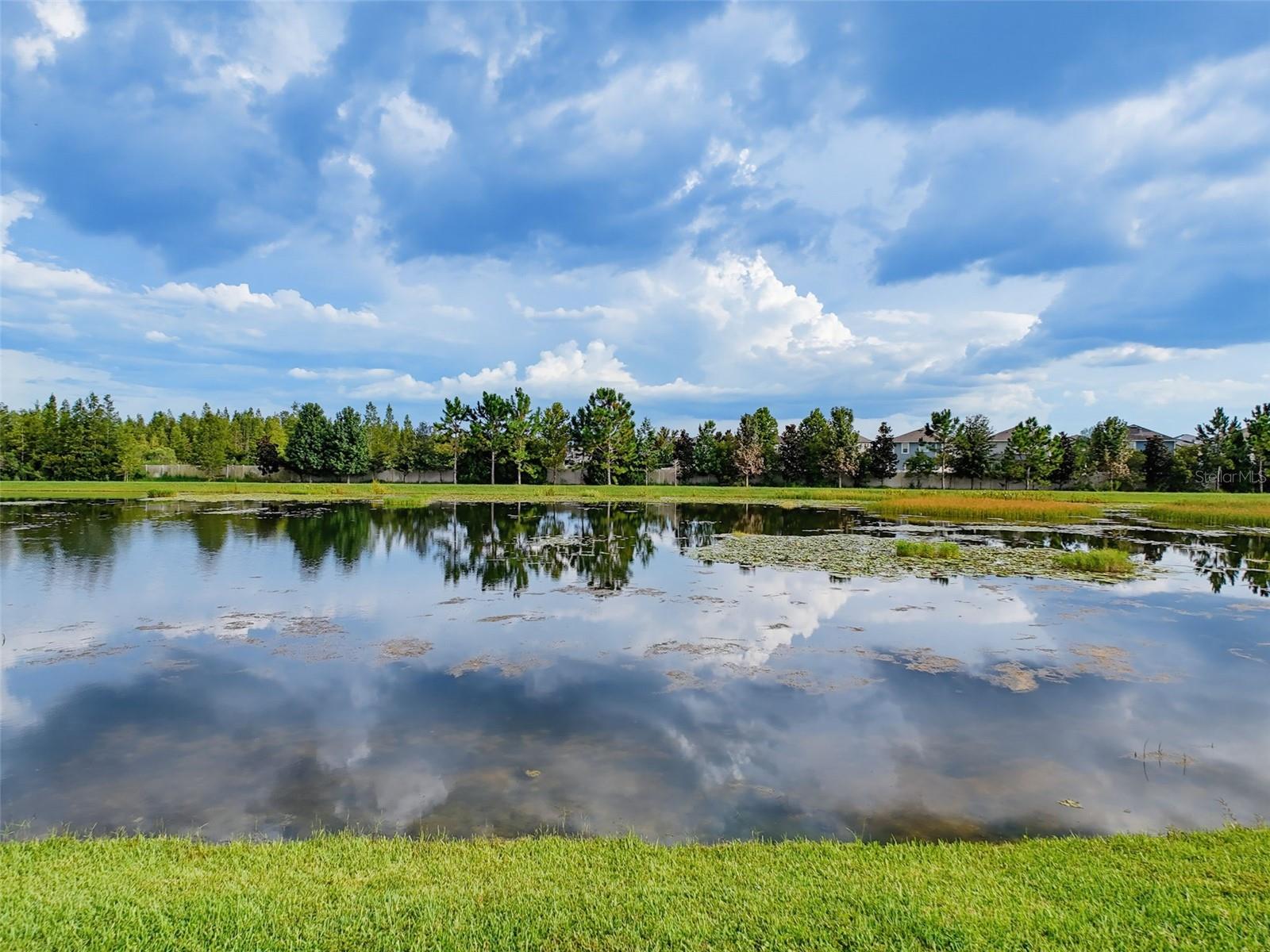 19260 BLUE POND