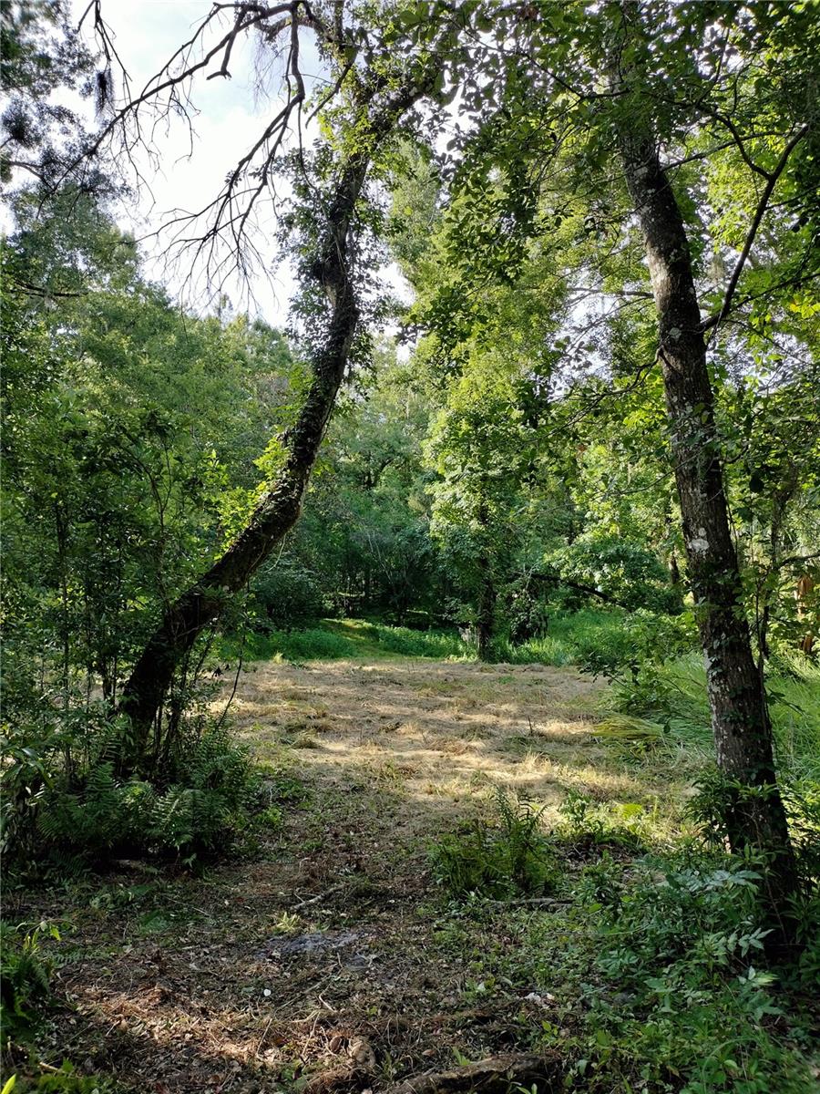 35949 BOZEMAN RD