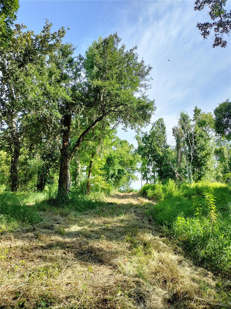 35949 BOZEMAN RD