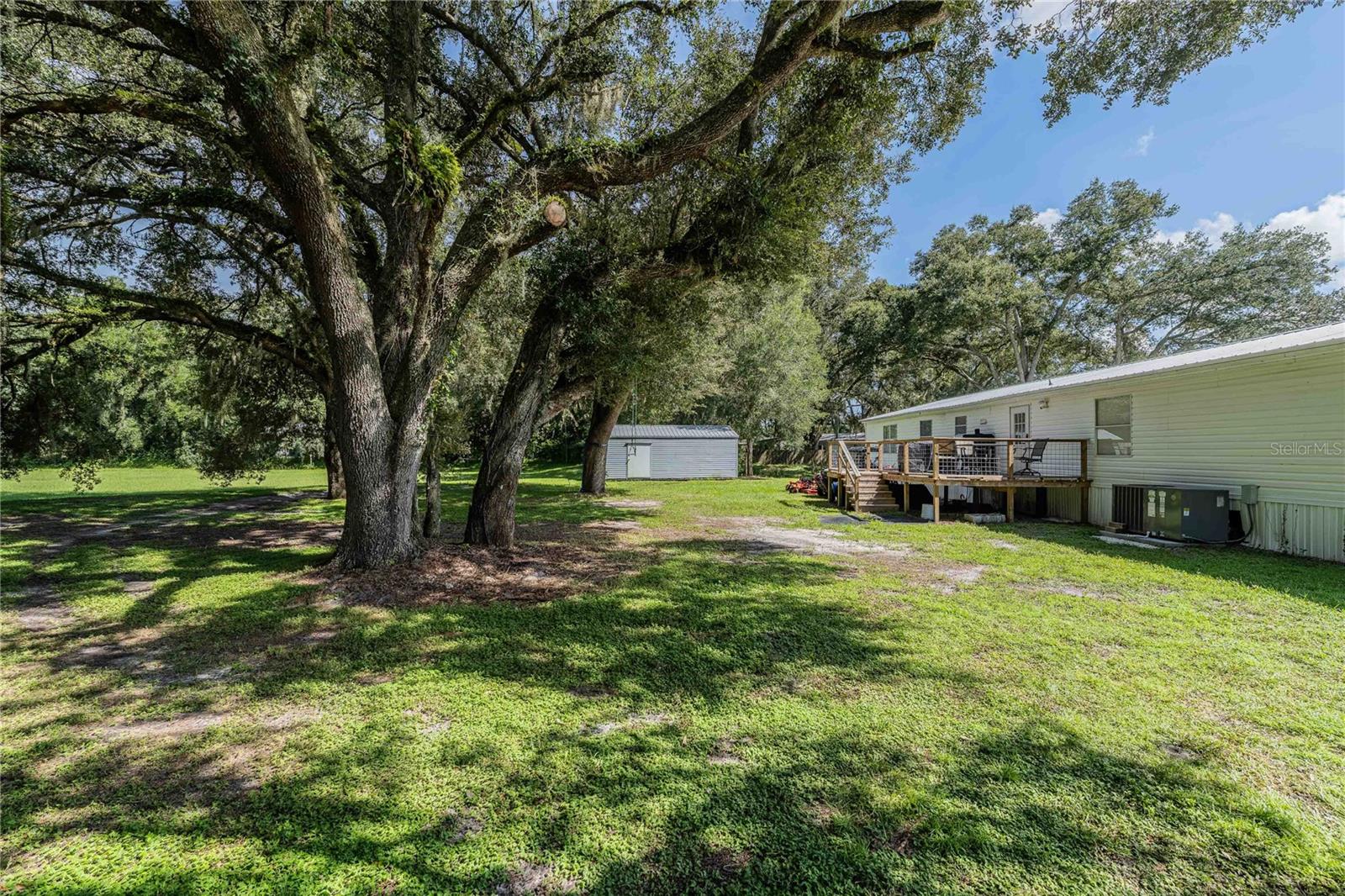 7309 RYMAN LOOP