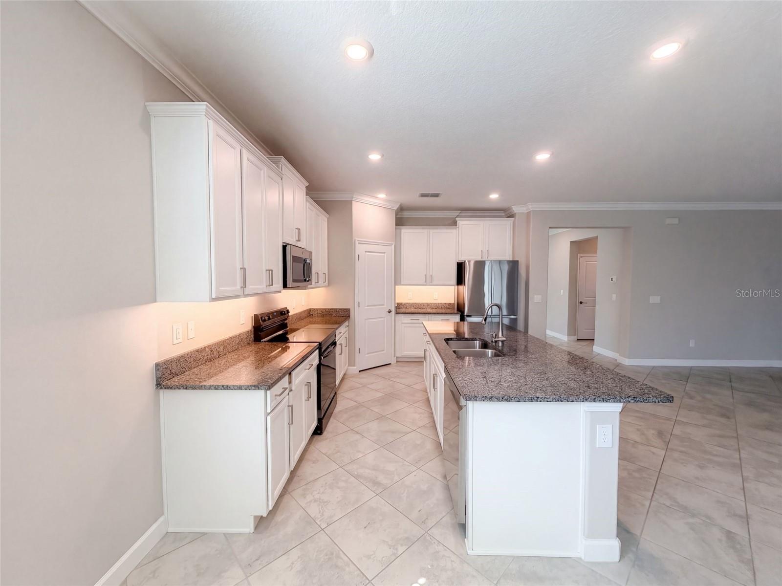 31351 CANNON RUSH DR