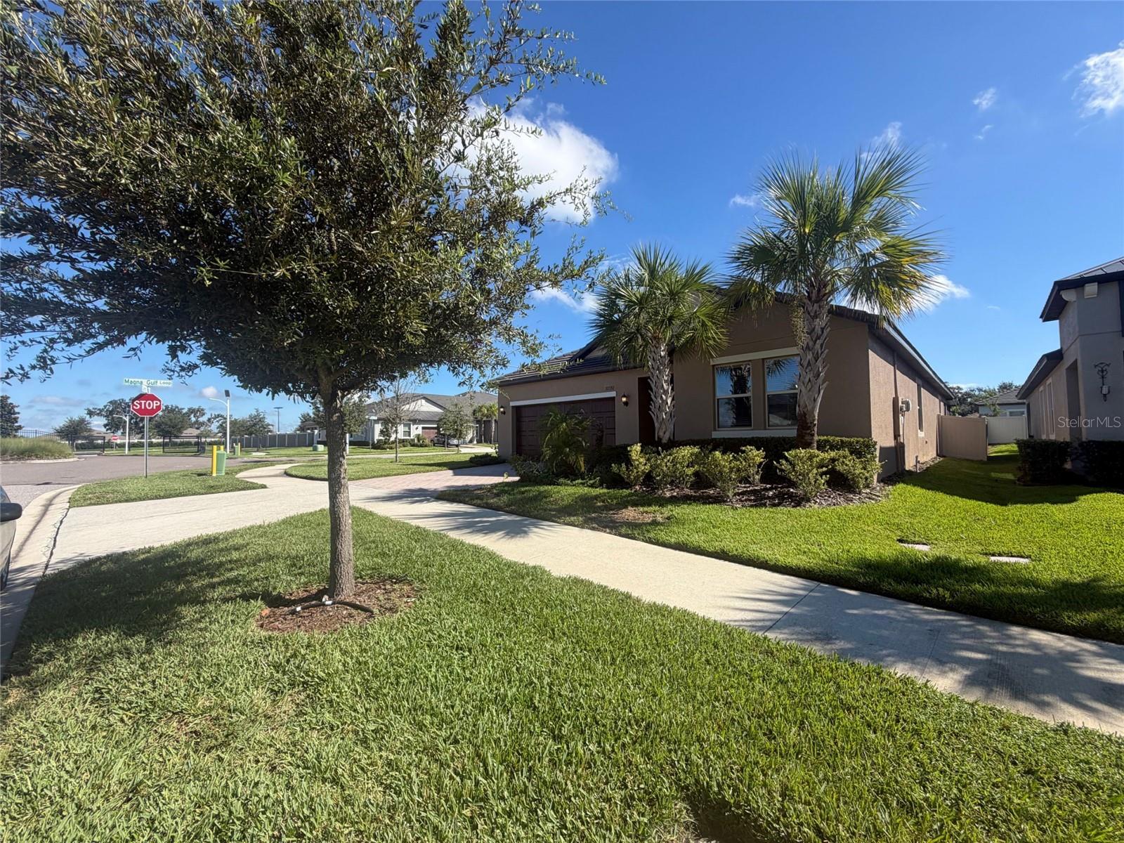 31351 CANNON RUSH DR
