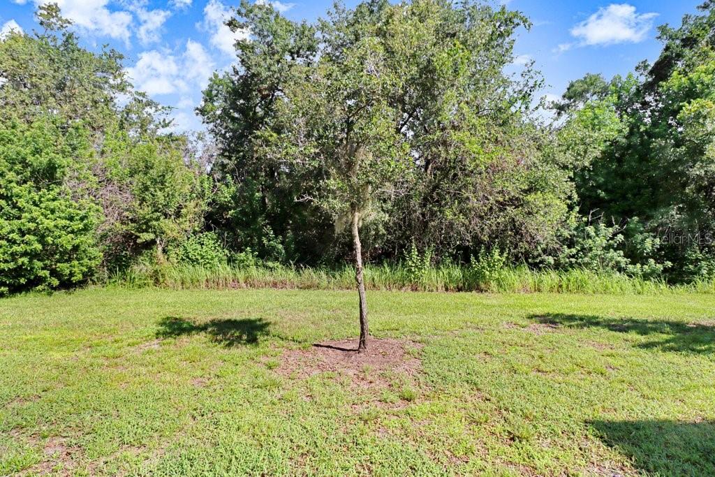 9536 PEMBROOKE PINES DR