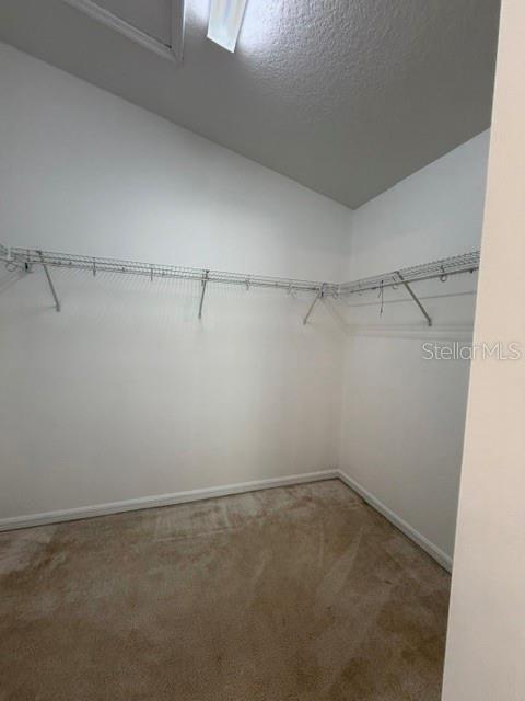 2931 WALNUT GROVE CT