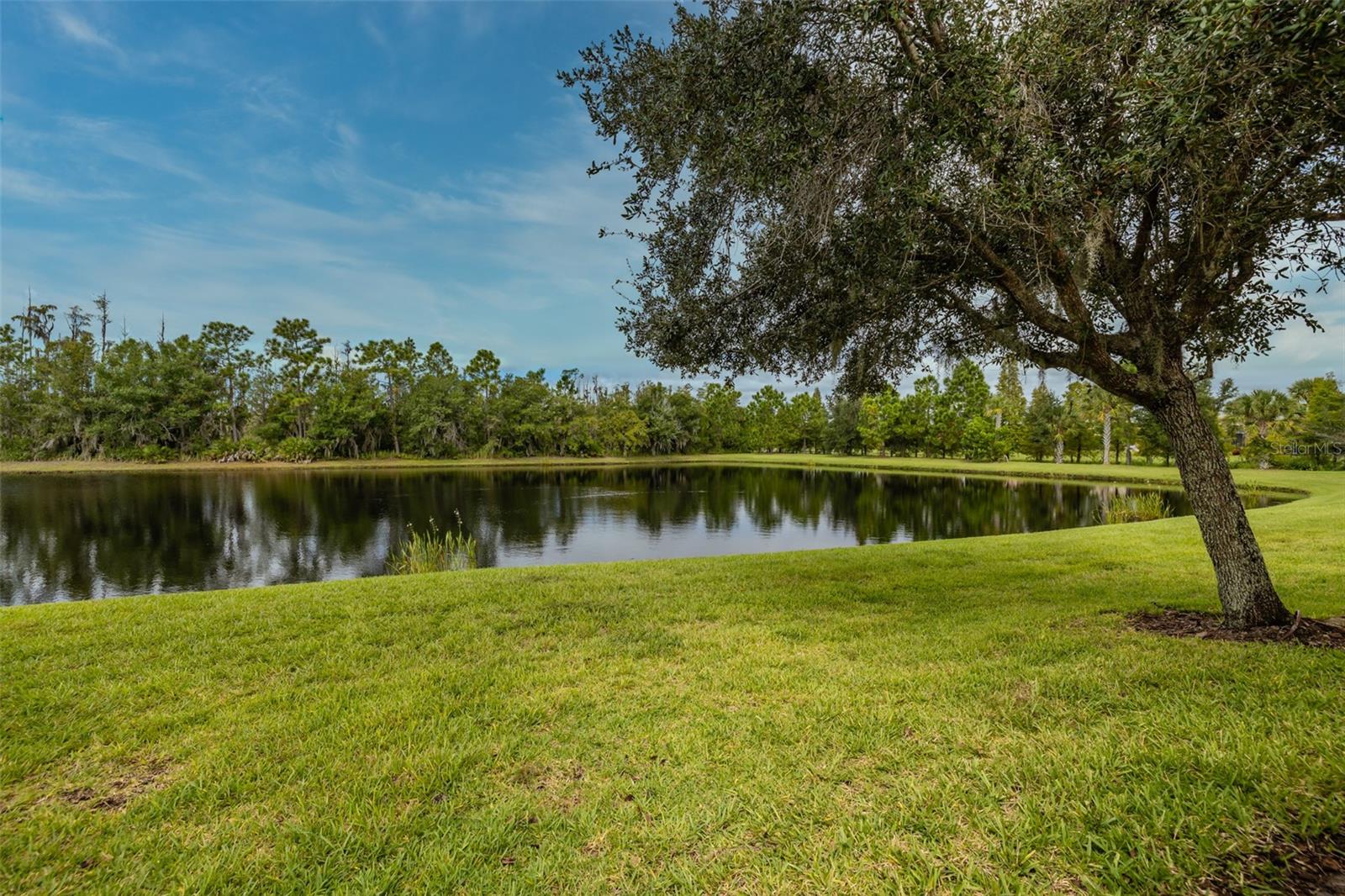 15717 AURORA LAKE CIR