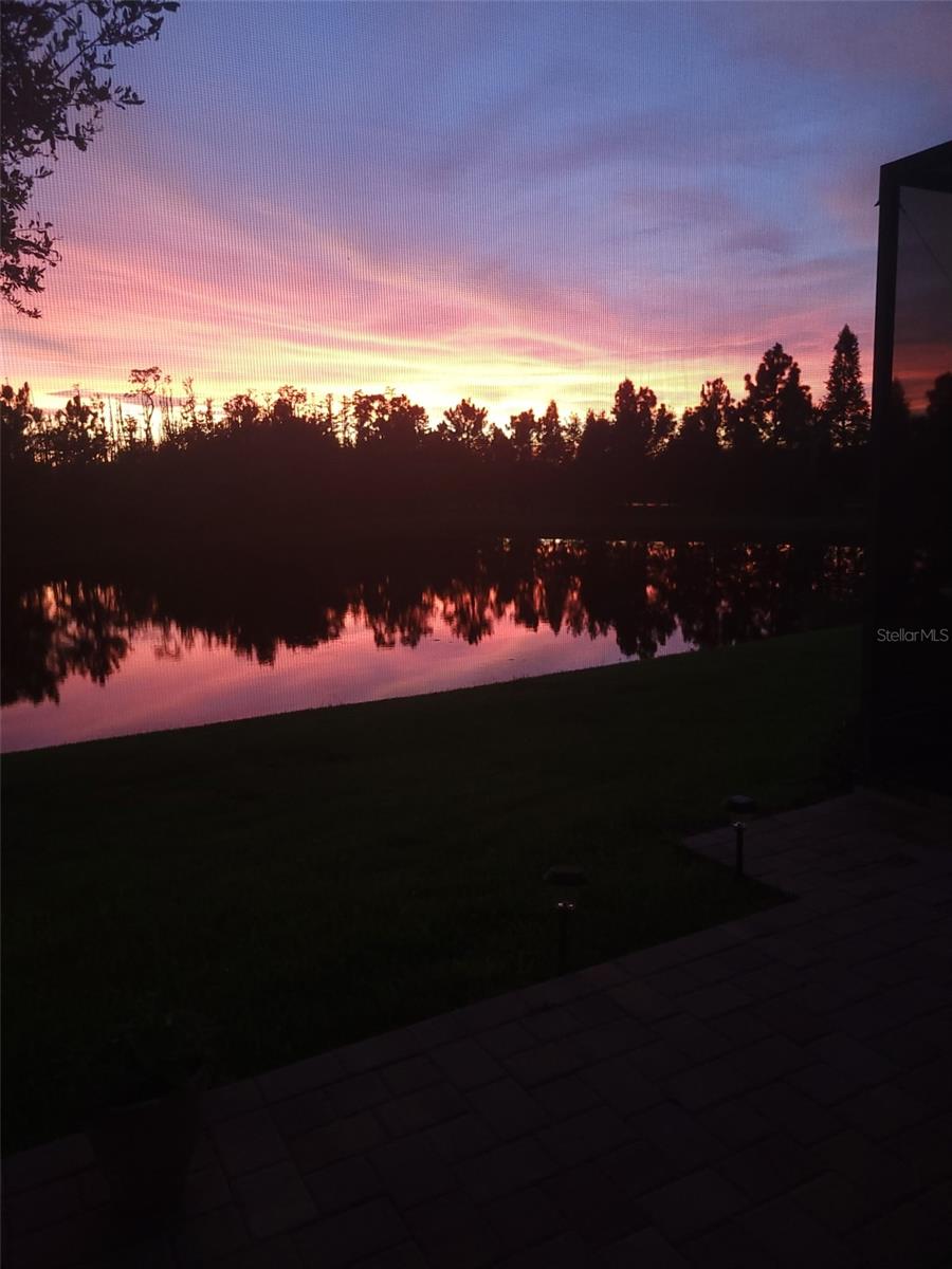 15717 AURORA LAKE CIR