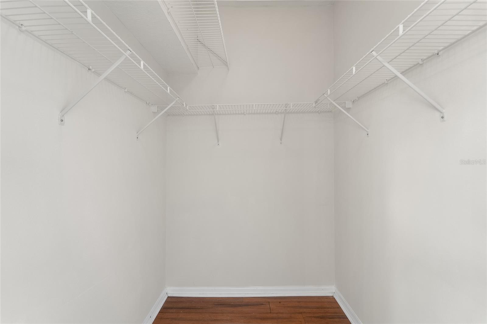 7040 FRASCATI LOOP
