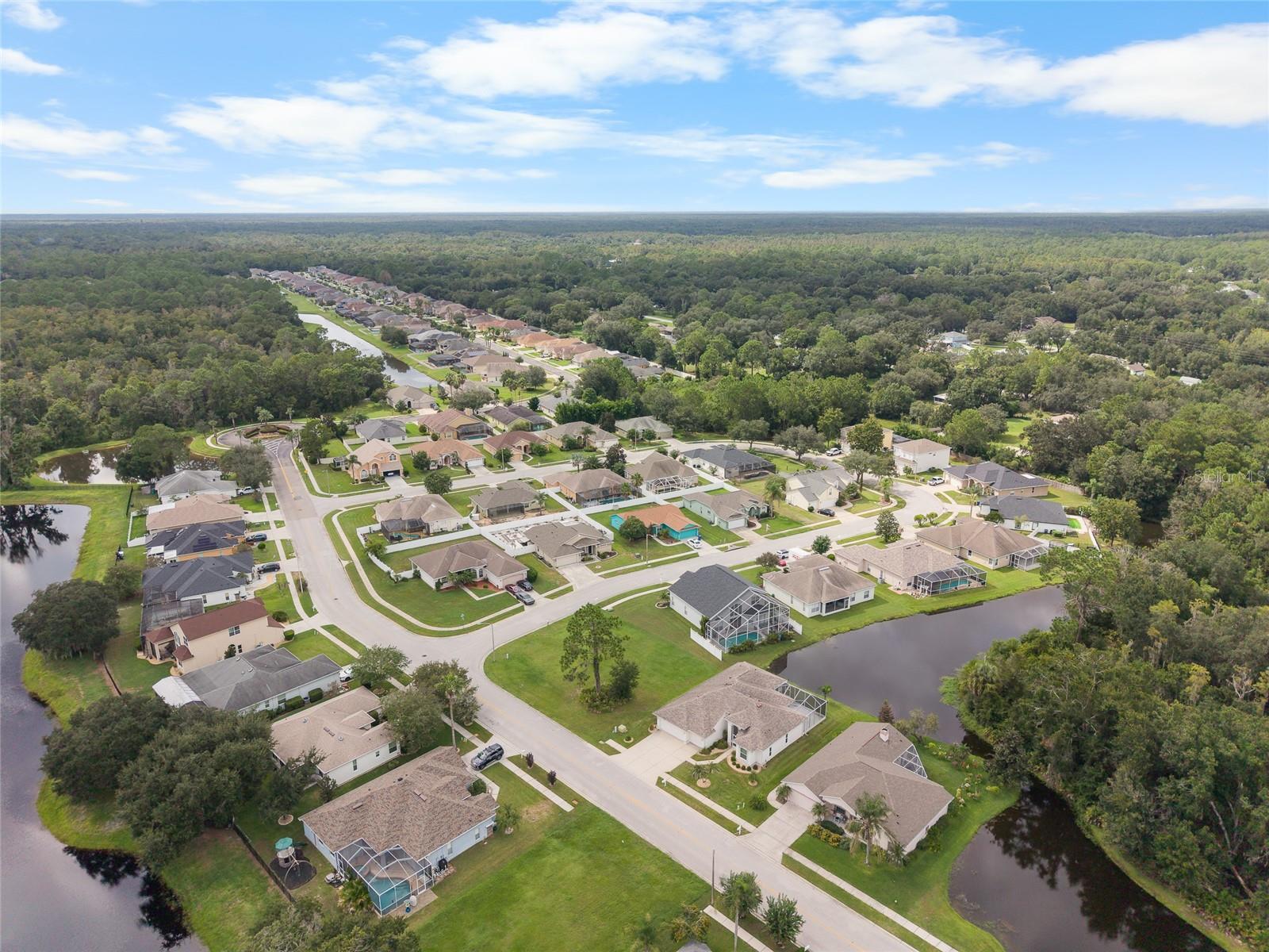 7040 FRASCATI LOOP