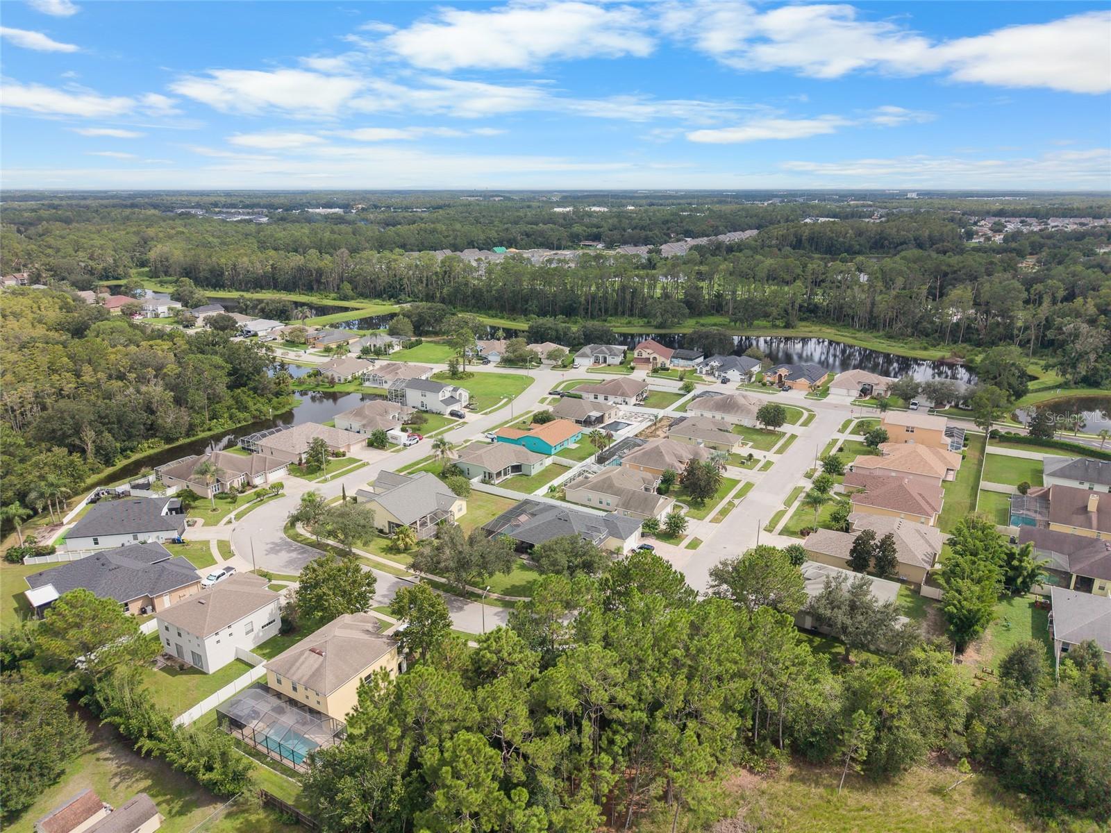 7040 FRASCATI LOOP