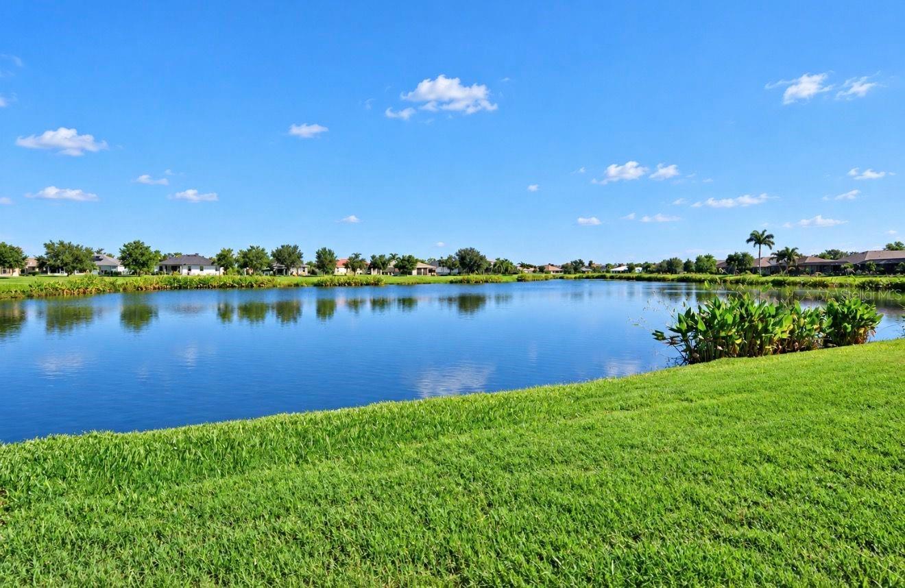 337 STAR SHELL DR