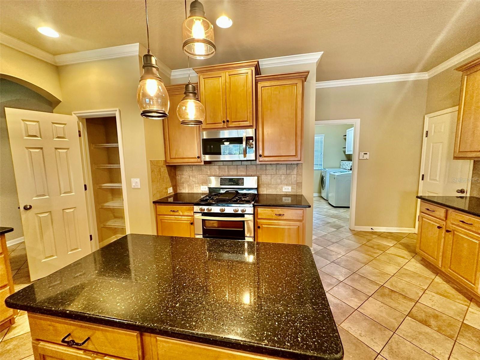 12348 SILTON PEACE DR