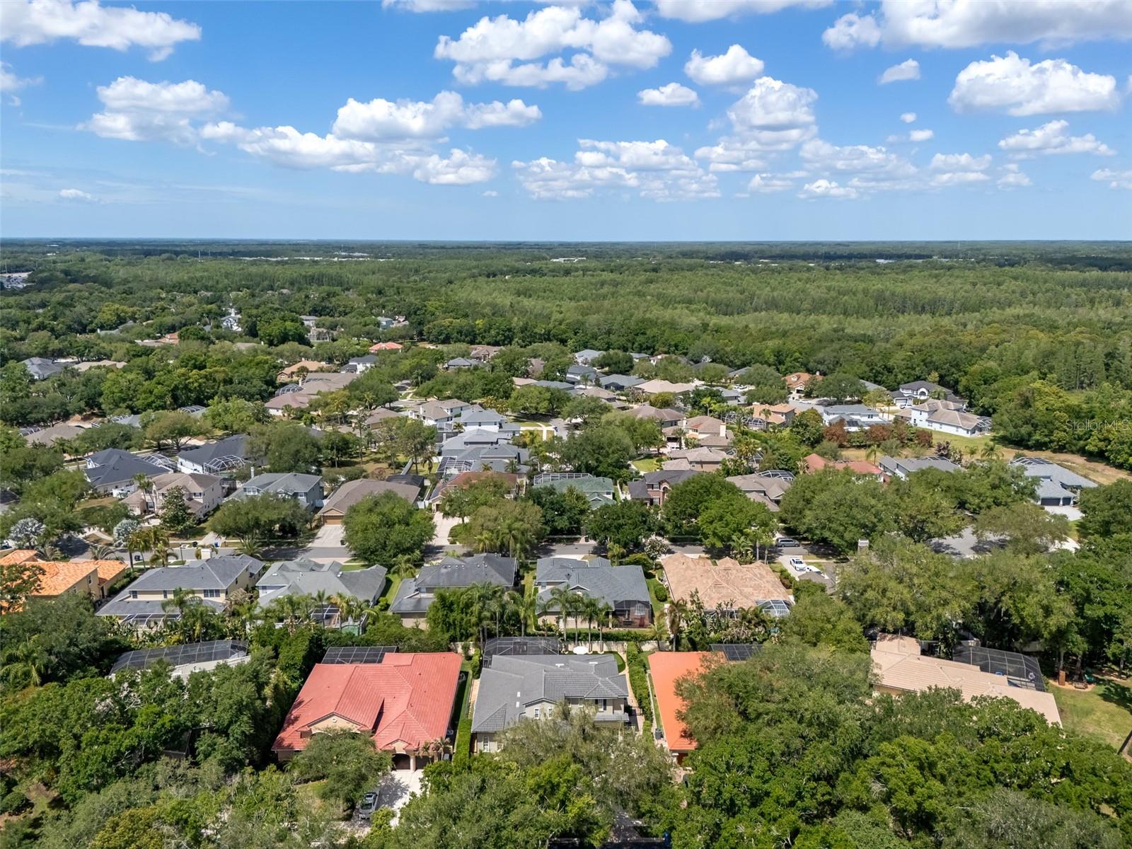 1921 FLORESTA VIEW DR
