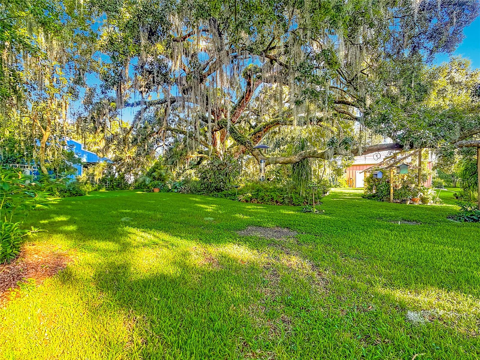 2320 BOGAERT RD