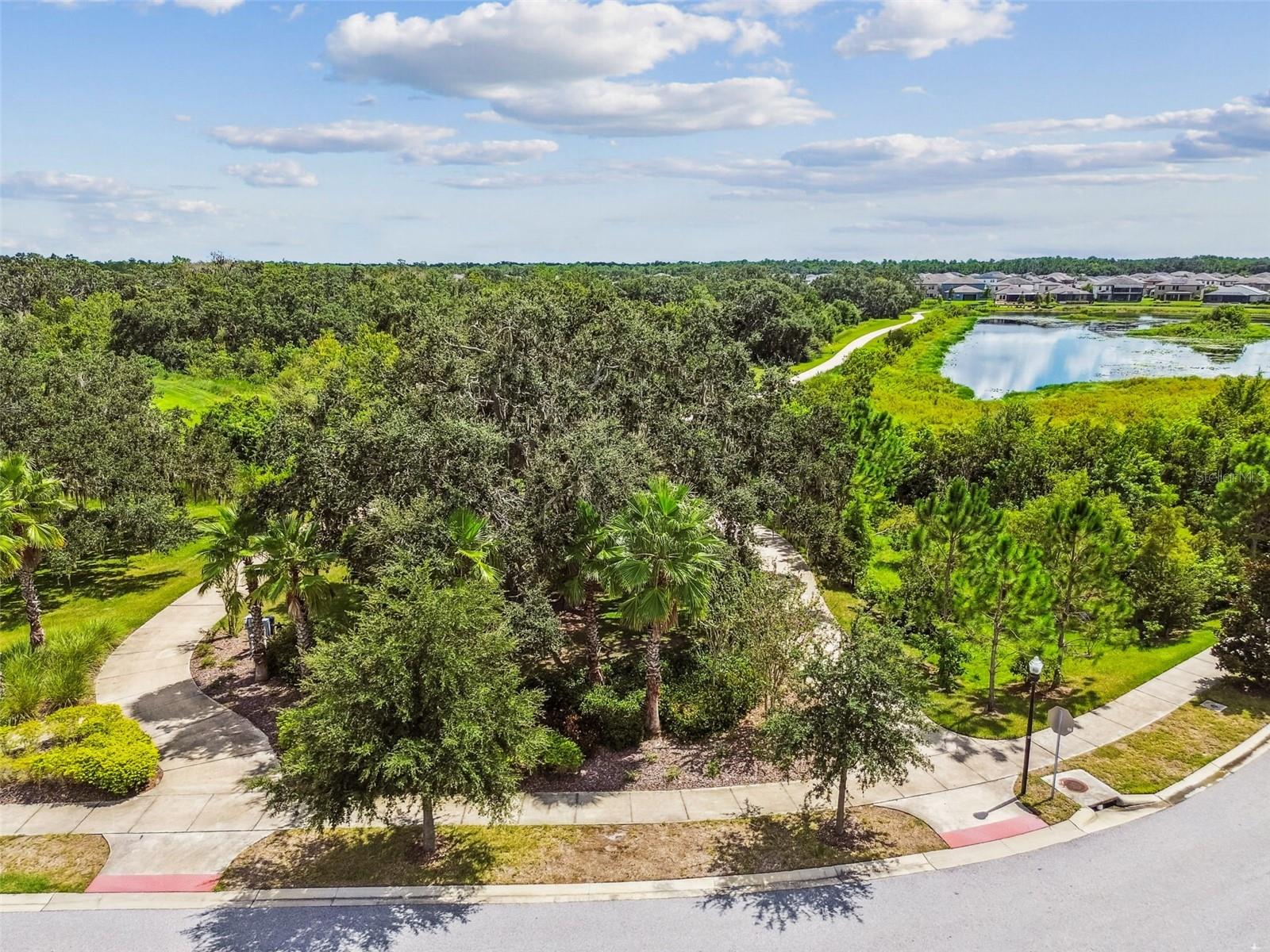 12903 WILDFLOWER MEADOW DR