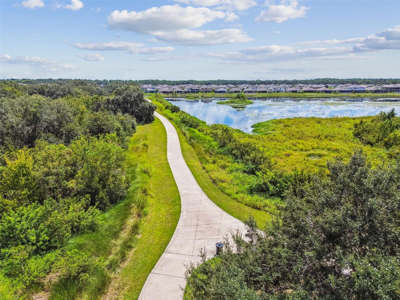 12903 WILDFLOWER MEADOW DR