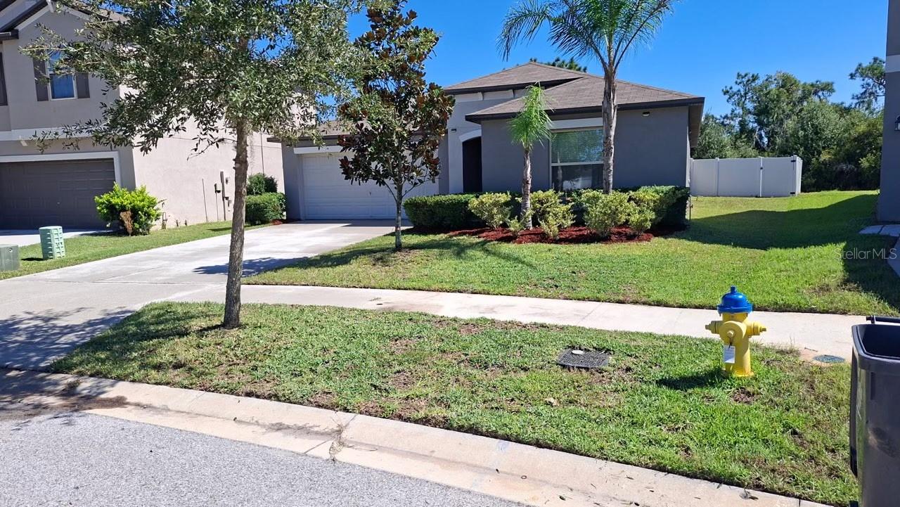 12903 WILDFLOWER MEADOW DR