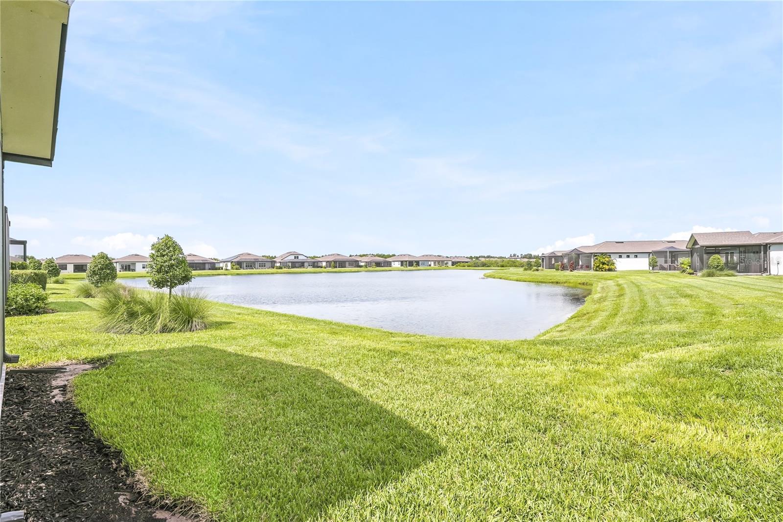 5535 BLUE CRUSH BND