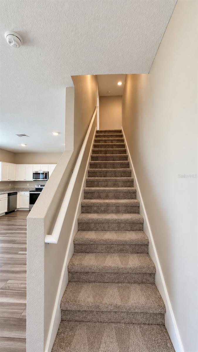 35123 WHITE WATER LILY WAY