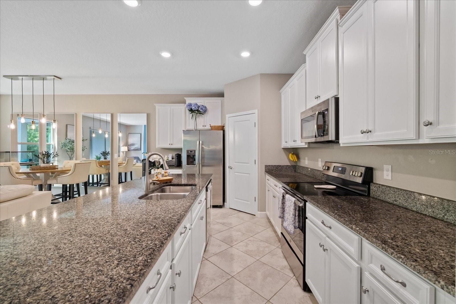 10029 CORSO MILANO DR