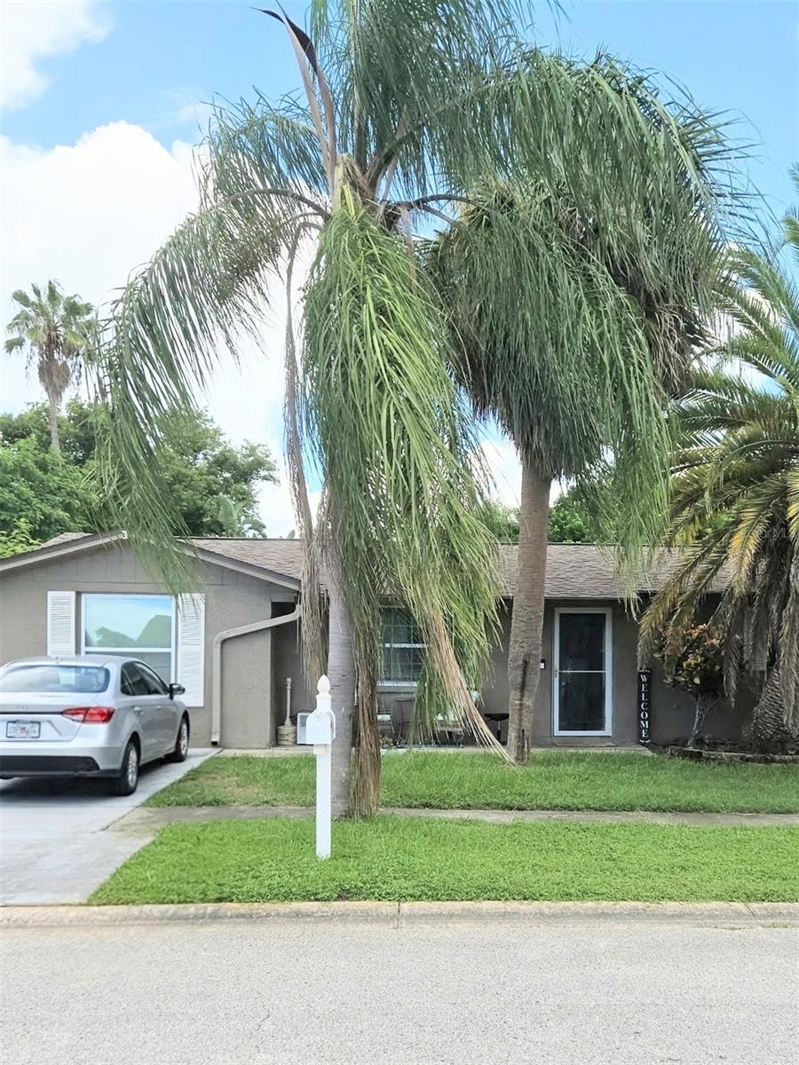 2144 Harrison Dr, Holiday