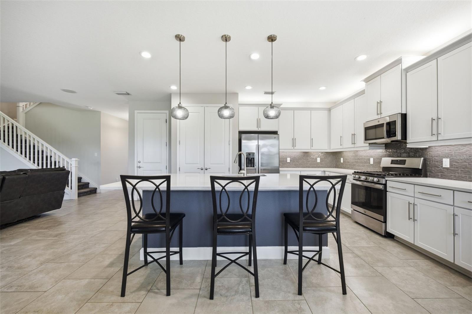 3073 MOUNTAIN SPRUCE TER