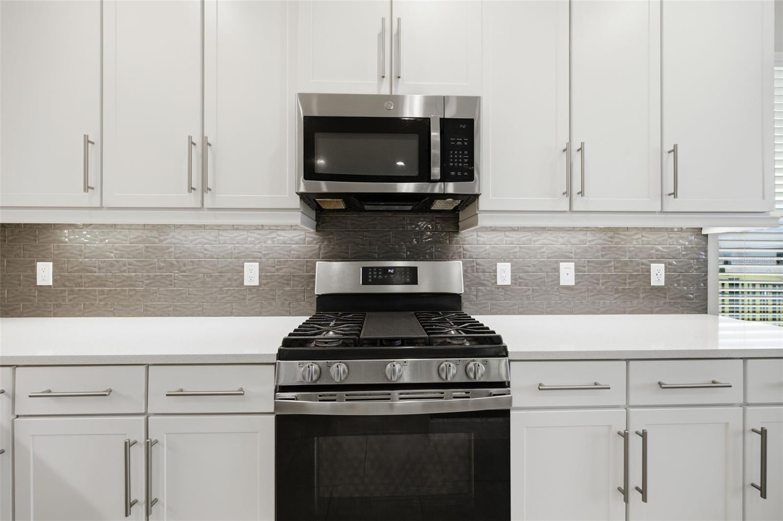 3073 MOUNTAIN SPRUCE TER
