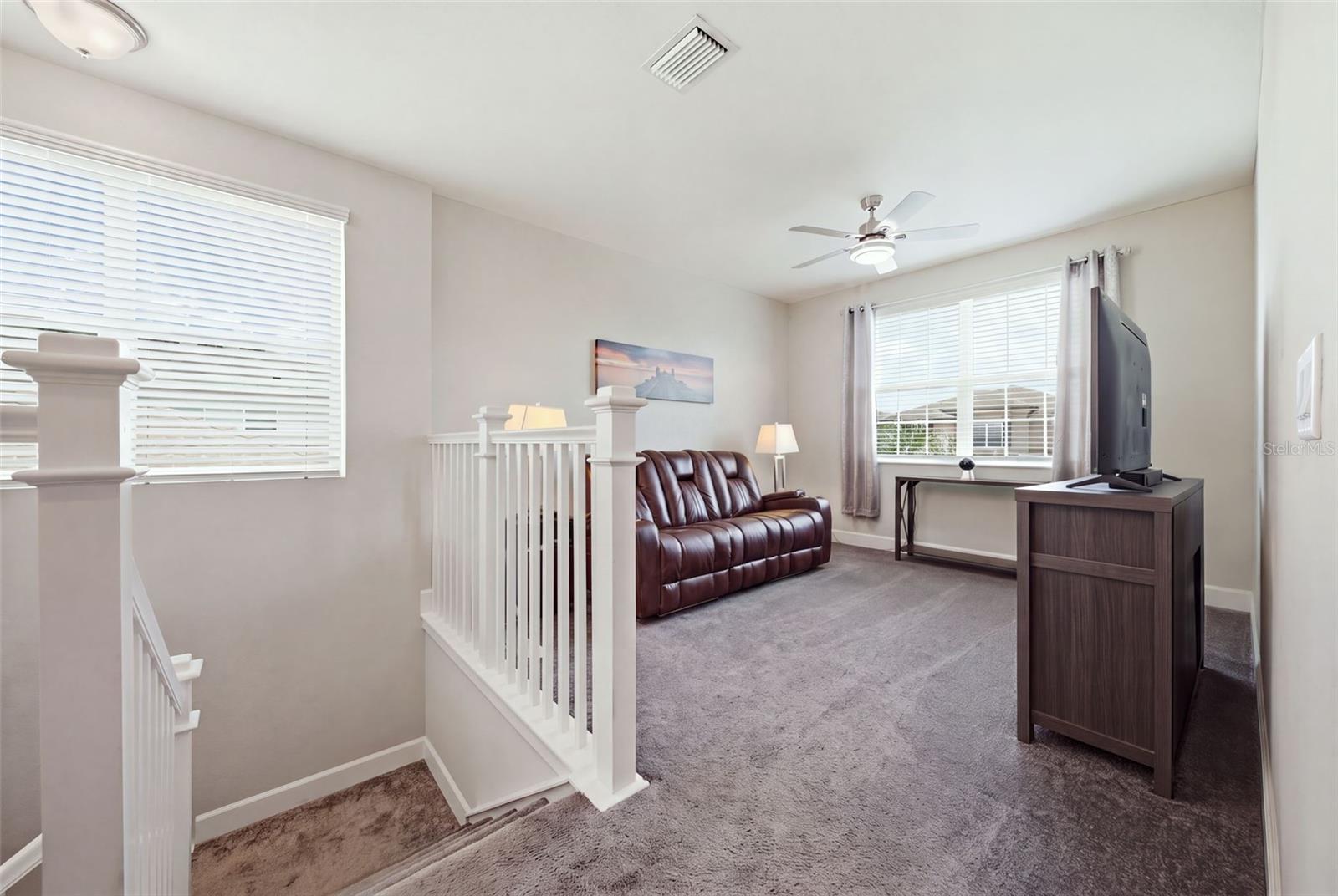 3073 MOUNTAIN SPRUCE TER