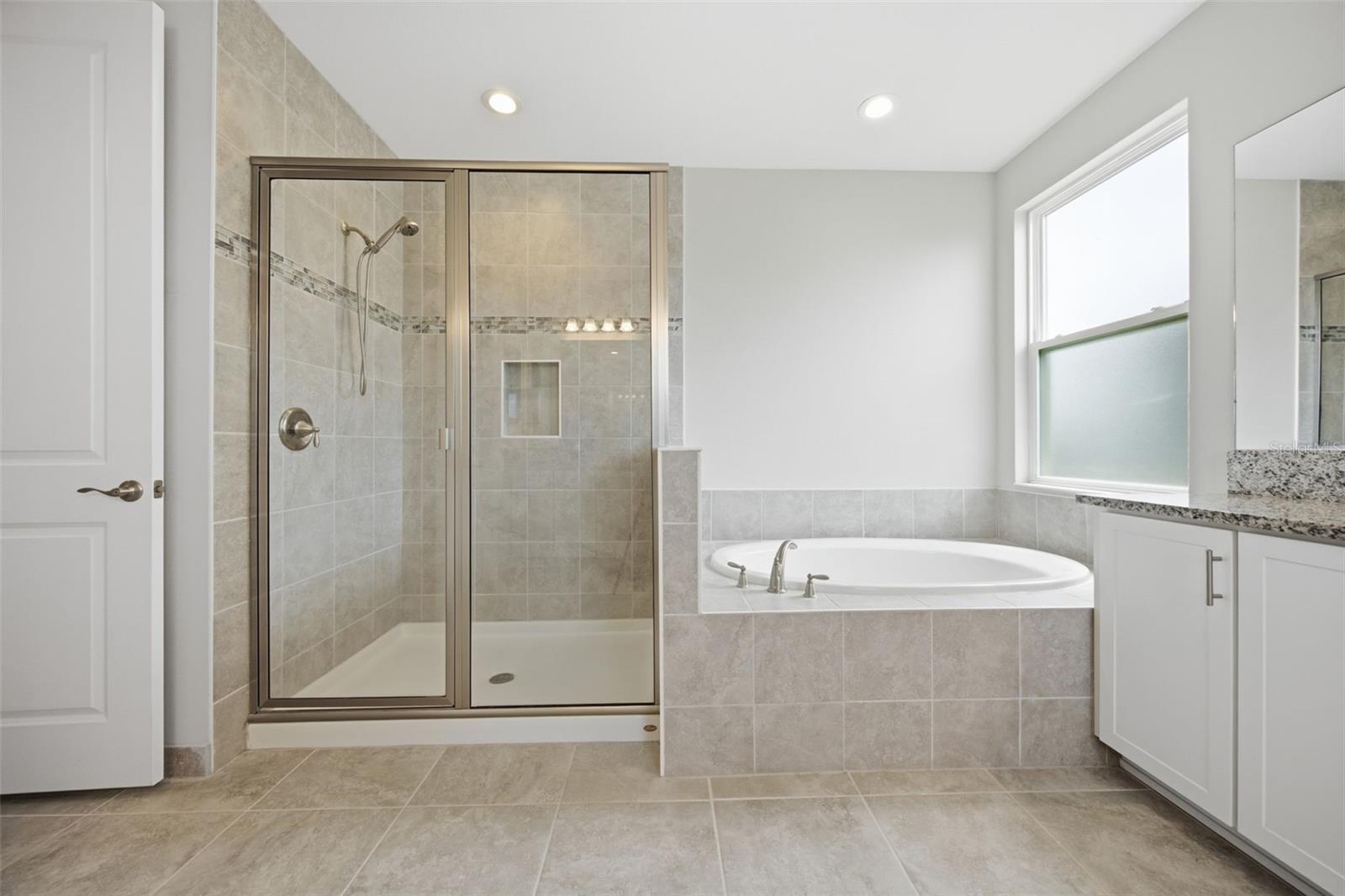 3073 MOUNTAIN SPRUCE TER