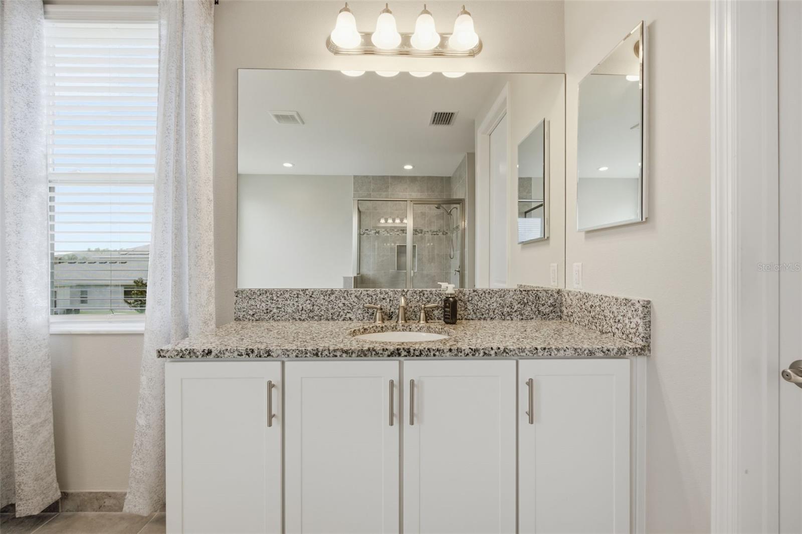 3073 MOUNTAIN SPRUCE TER