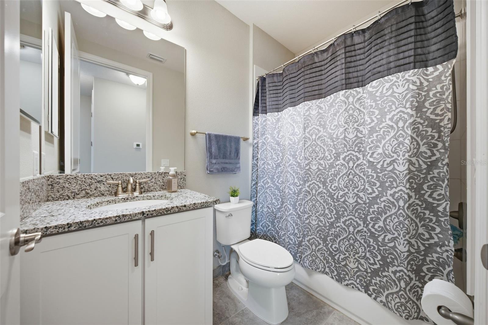 3073 MOUNTAIN SPRUCE TER