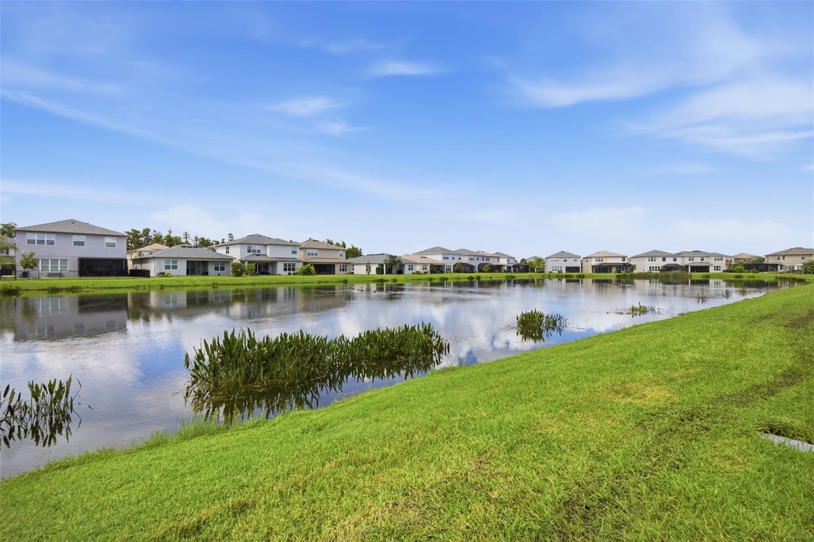 3073 MOUNTAIN SPRUCE TER