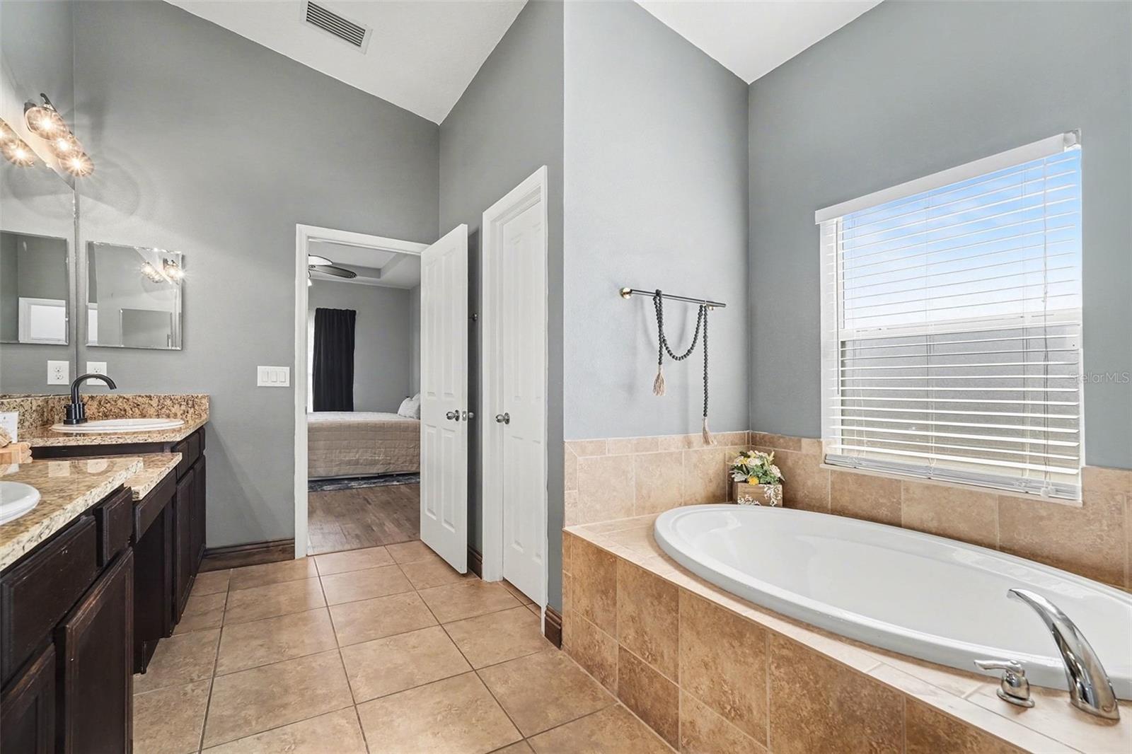 12324 LOOPBACK DR