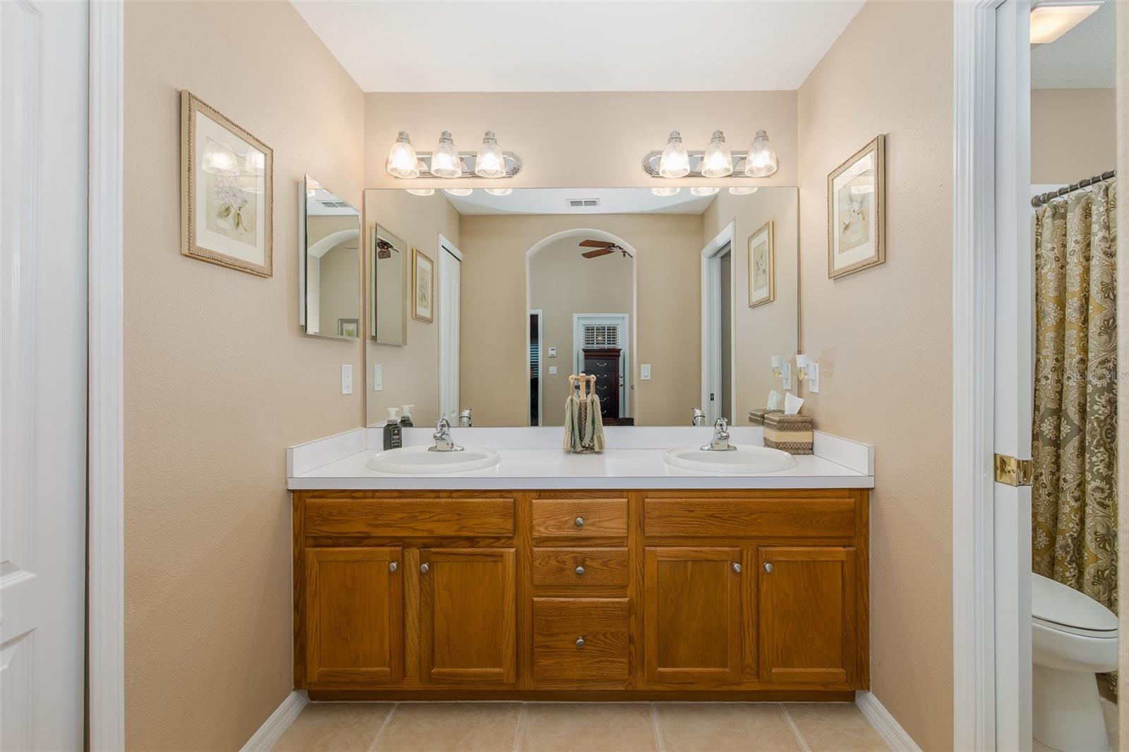 1856 ARBOR KNOLL LOOP