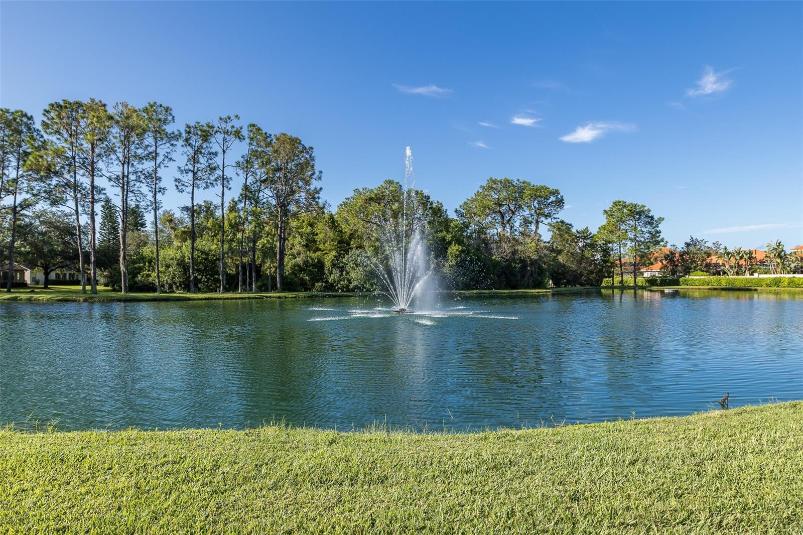 1856 ARBOR KNOLL LOOP