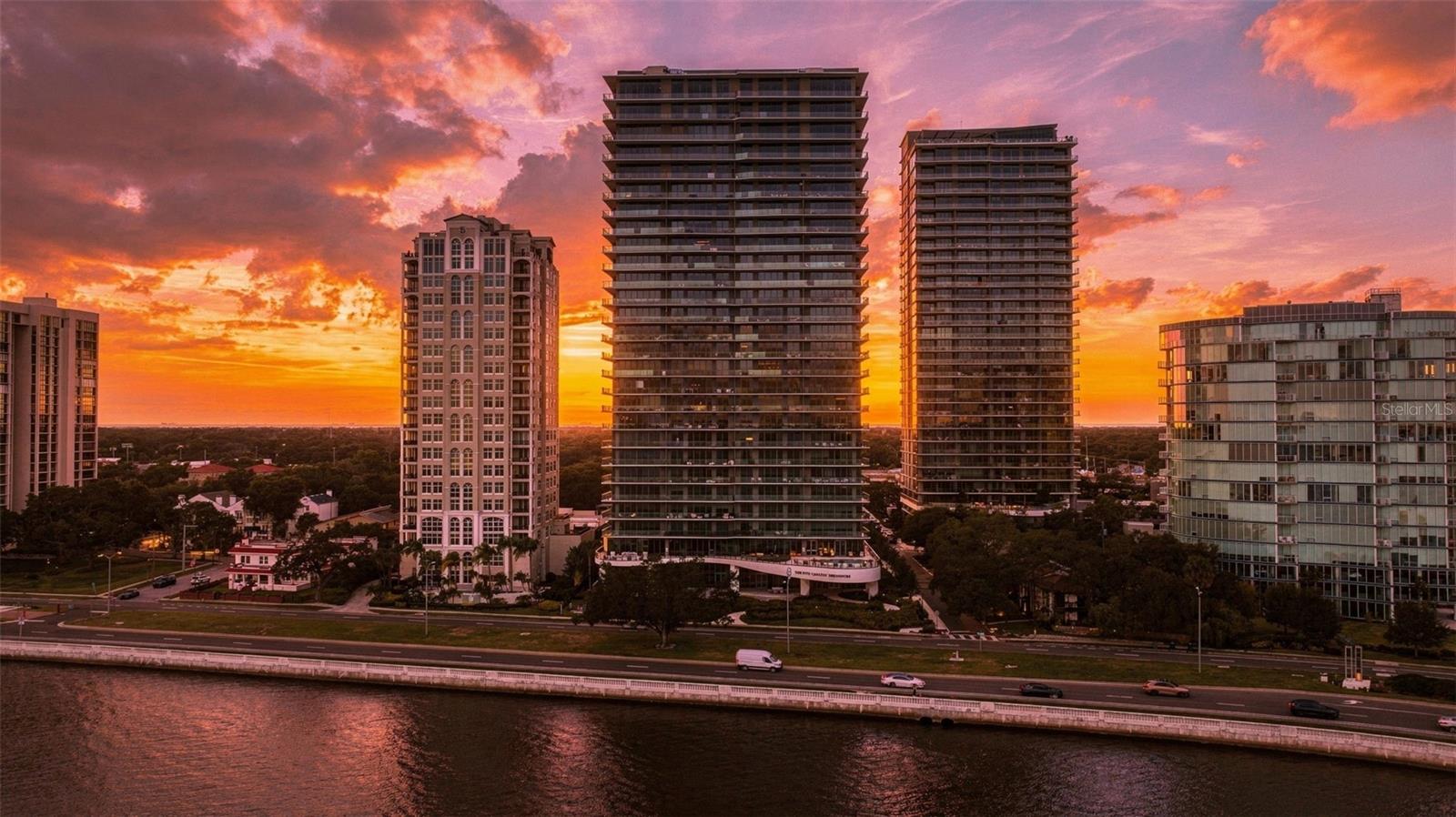 3101 BAYSHORE BLVD #1503