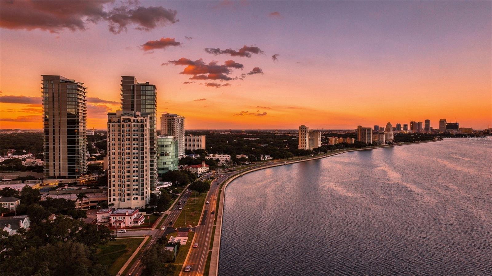 3101 BAYSHORE BLVD #1503