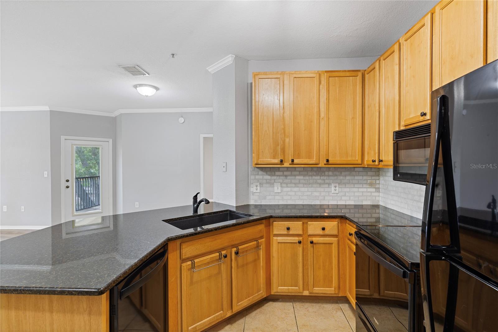 10105 COURTNEY OAKS CIR #203