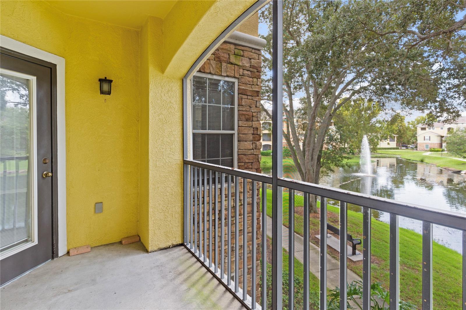 10105 COURTNEY OAKS CIR #203