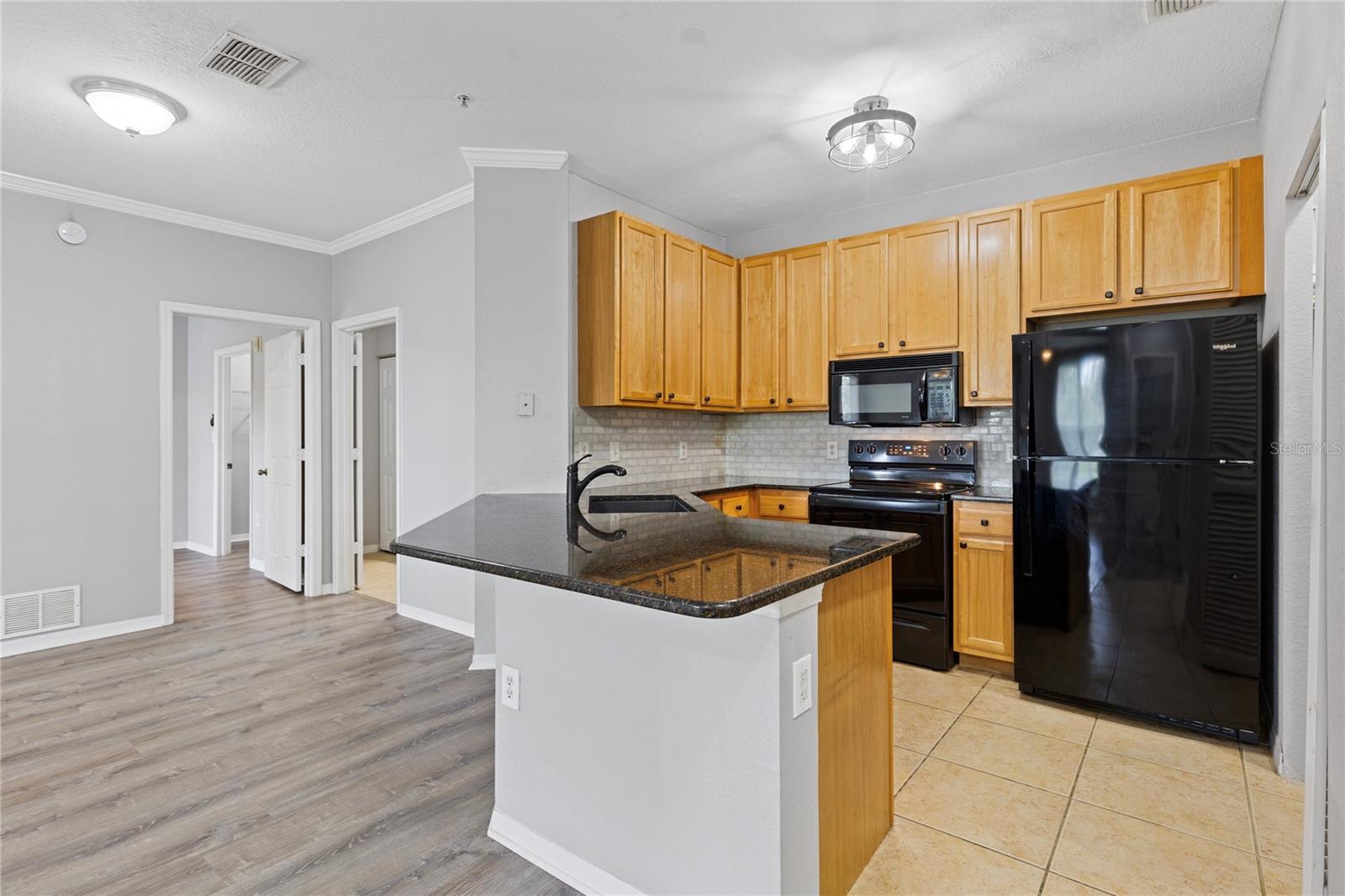 10105 COURTNEY OAKS CIR #203
