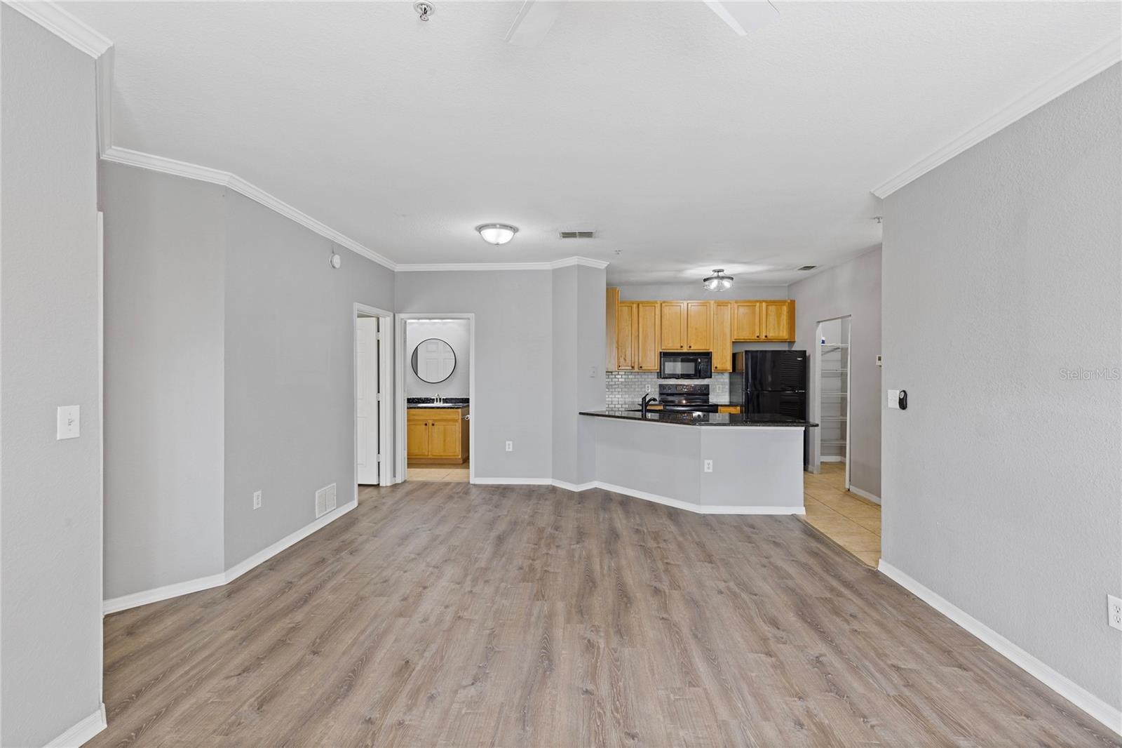 10105 COURTNEY OAKS CIR #203